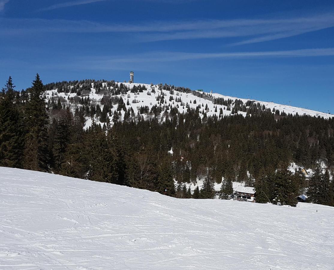Enjoy Ferienwohnung Feldberg Grafenmatt Exteriér fotografie