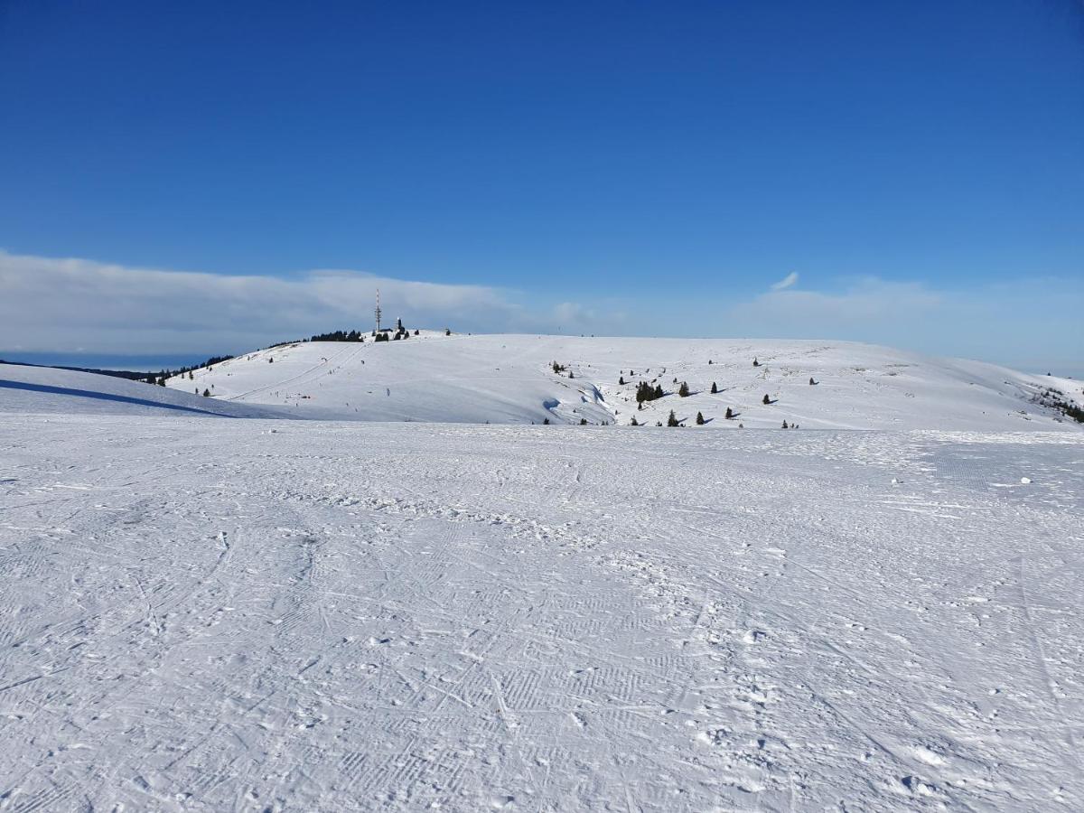 Enjoy Ferienwohnung Feldberg Grafenmatt Exteriér fotografie